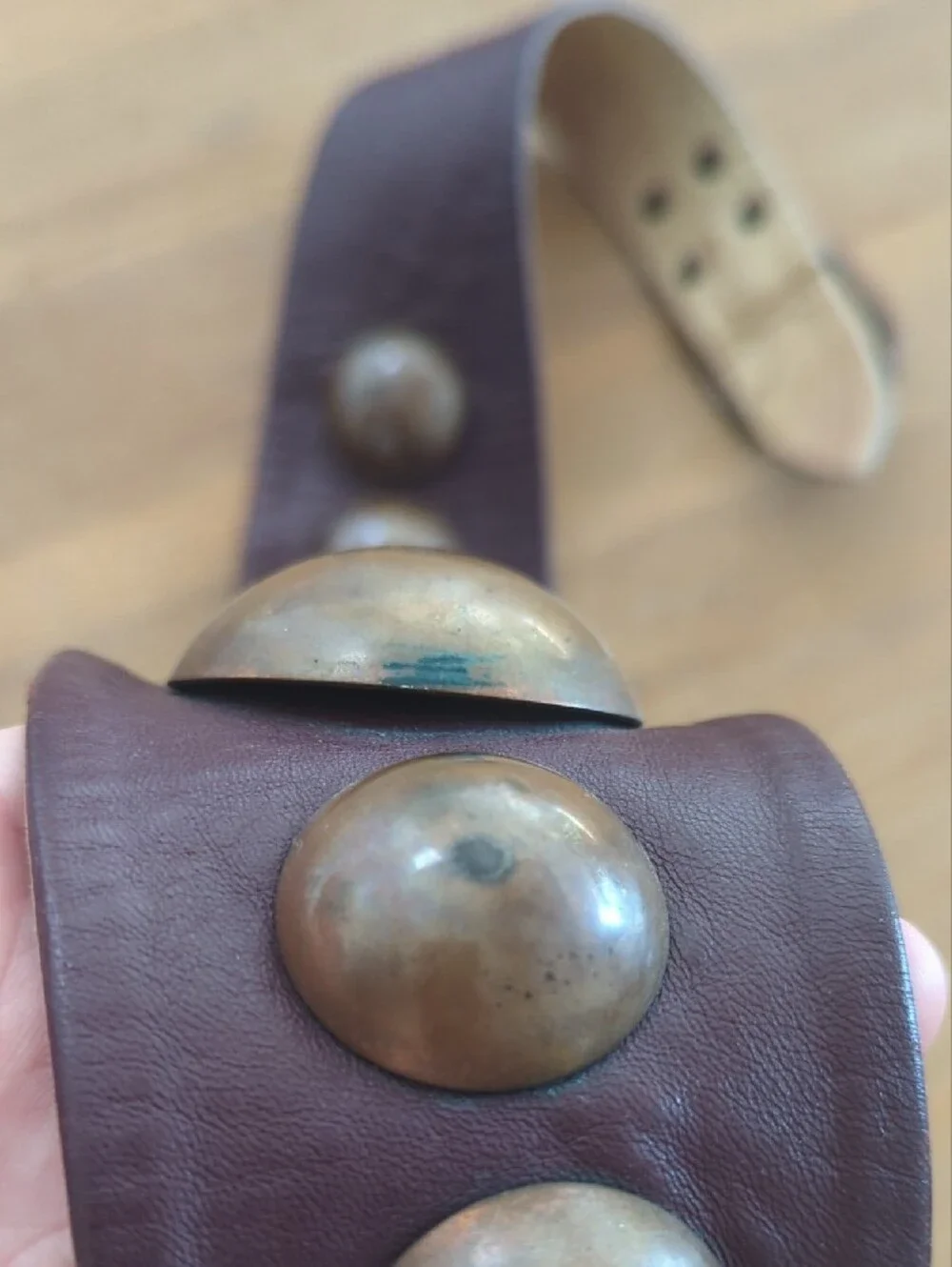 Brown Belt with Metal Stud Accents